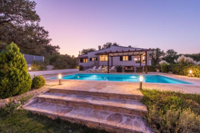 Гостиница Holiday Home Dominik  Поседарье